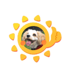 Happy Puppy ‘s Happy New Year（個別スタンプ：26）