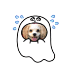 Happy Puppy ‘s Happy New Year（個別スタンプ：29）