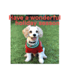 Happy Puppy ‘s Happy New Year（個別スタンプ：31）