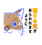 ダンマねこ（個別スタンプ：9）