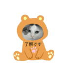 neco nyanko（個別スタンプ：4）