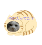 neco nyanko（個別スタンプ：8）