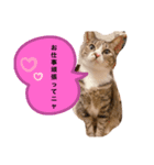 しらすといくら♡吹き出し（個別スタンプ：4）