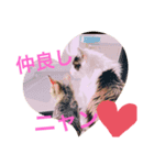 しらすといくら♡吹き出し（個別スタンプ：5）