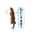 LIGHTの日常スタンプ part1（個別スタンプ：8）