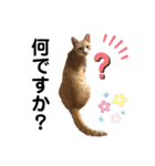 LIGHTの日常スタンプ part1（個別スタンプ：9）
