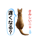LIGHTの日常スタンプ part1（個別スタンプ：10）