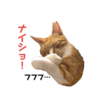 LIGHTの日常スタンプ part1（個別スタンプ：18）