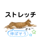 LIGHTの日常スタンプ part1（個別スタンプ：39）