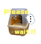ひま ニャン語（個別スタンプ：2）