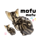 ひま ニャン語（個別スタンプ：11）