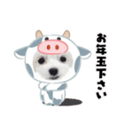 てぃーちゃんの毎日スタンプ（個別スタンプ：23）