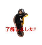 敬語が使える林くん（個別スタンプ：5）