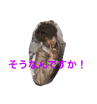 敬語が使える林くん（個別スタンプ：14）