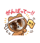 ぱぴぱぴパピヨン14（個別スタンプ：31）