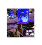 ぱぴぱぴパピヨン14（個別スタンプ：38）