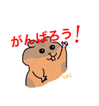 ハムスターのプーくんファミリー（個別スタンプ：2）
