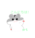 ハムスターのプーくんファミリー（個別スタンプ：6）