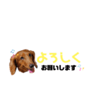れもんスタンプ①（個別スタンプ：9）