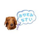 れもんスタンプ①（個別スタンプ：10）