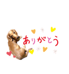 れもんスタンプ①（個別スタンプ：11）