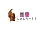 れもんスタンプ①（個別スタンプ：14）