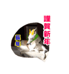 ベスの季節ご挨拶（個別スタンプ：5）
