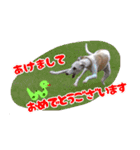 ベスの季節ご挨拶（個別スタンプ：6）