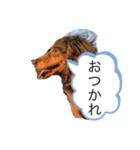 柴犬とダックスフンド（個別スタンプ：4）
