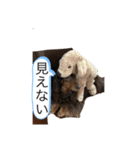 柴犬とダックスフンド（個別スタンプ：15）