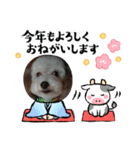 年末年始わんこスタンプ パ一ト2（個別スタンプ：6）