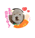 年末年始わんこスタンプ パ一ト2（個別スタンプ：9）
