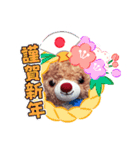 仮装したティアラちゃん（個別スタンプ：17）