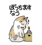 猫大好き！ (大)その5 年末年始用（個別スタンプ：12）