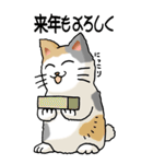 猫大好き！ (大)その5 年末年始用（個別スタンプ：16）