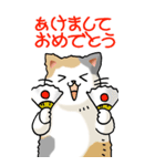 猫大好き！ (大)その5 年末年始用（個別スタンプ：25）