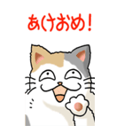 猫大好き！ (大)その5 年末年始用（個別スタンプ：26）