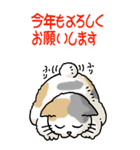 猫大好き！ (大)その5 年末年始用（個別スタンプ：27）