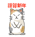 猫大好き！ (大)その5 年末年始用（個別スタンプ：29）