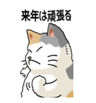 猫大好き！ (大)その5 年末年始用（個別スタンプ：33）