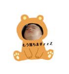 しんちゃん0203ver.2（個別スタンプ：11）
