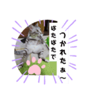 ぴぃままの小言（個別スタンプ：2）