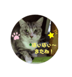 ぴぃままの小言（個別スタンプ：5）