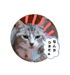 ぴぃままの小言（個別スタンプ：6）
