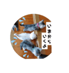ぴぃままの小言（個別スタンプ：8）