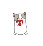 猫との共存（個別スタンプ：29）