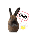 ラビィと愉快な仲間達（個別スタンプ：7）