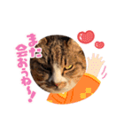 ラビィと愉快な仲間達（個別スタンプ：10）