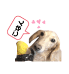 ラビィと愉快な仲間達（個別スタンプ：13）