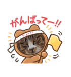 ラビィと愉快な仲間達（個別スタンプ：15）
